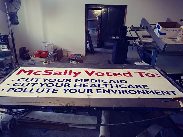 mcsally voted to pollute banner